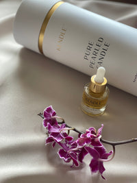 Tubo 650g + Taça Alma + Fragrância + Pavios